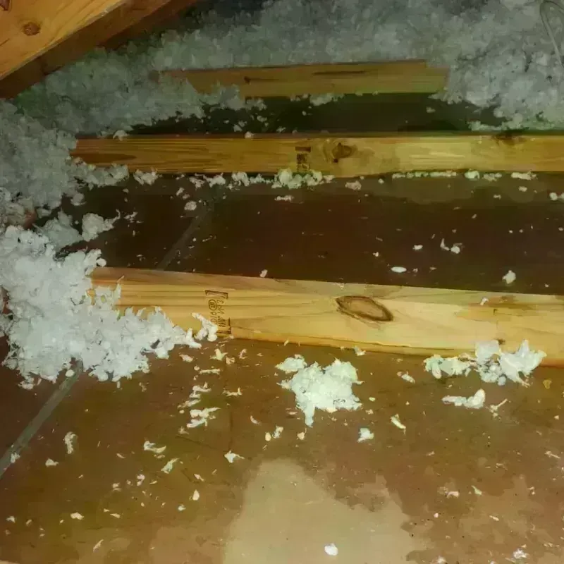 Attic Water Damage in Johnson County, KY